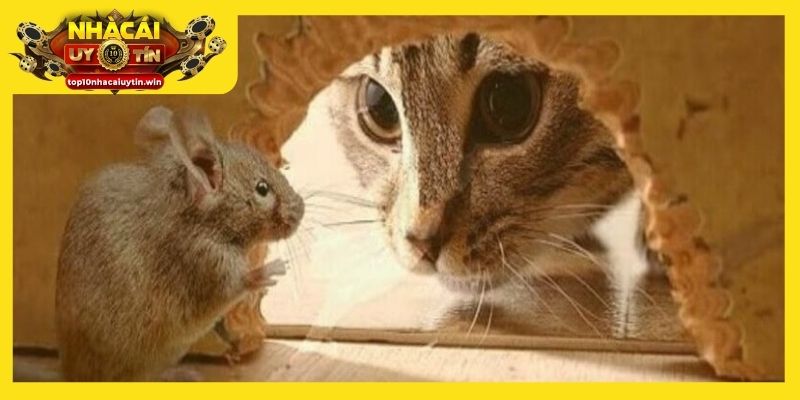 Mèo bắt chuột trong mơ phản ánh môi trường cạnh tranh đầy thử thách