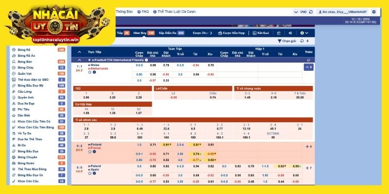 Nắm các thuật ngữ cá độ bóng đá để cá độ nhanh